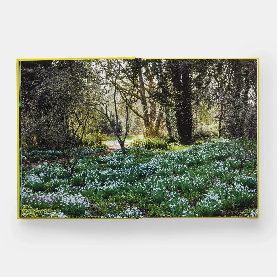 Year in Bloom: Flowering Bulbs for Every Season - The Missing Piece Company