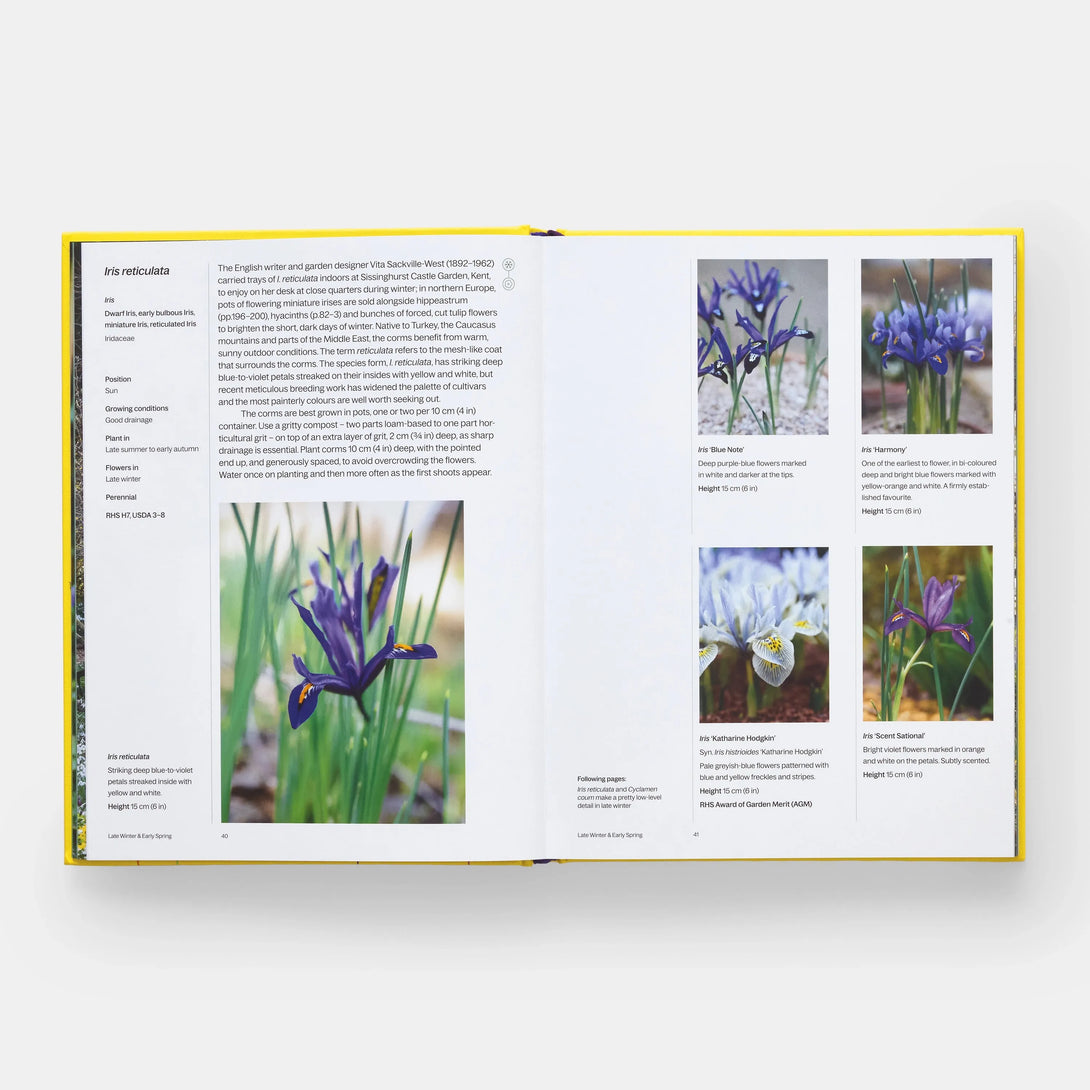 Year in Bloom: Flowering Bulbs for Every Season - The Missing Piece Company