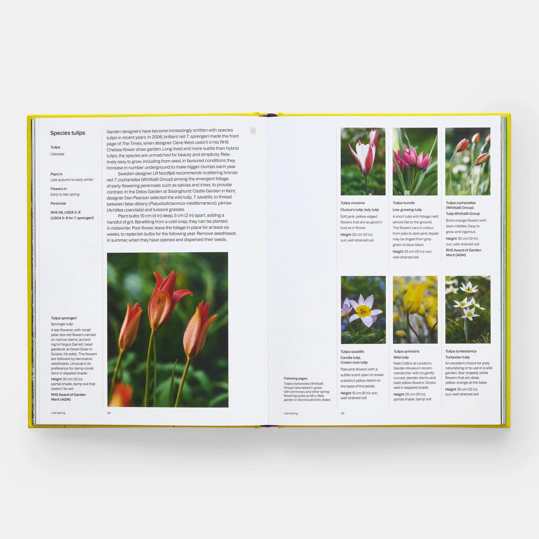Year in Bloom: Flowering Bulbs for Every Season - The Missing Piece Company