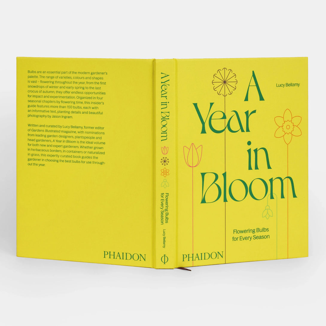 Year in Bloom: Flowering Bulbs for Every Season - The Missing Piece Company
