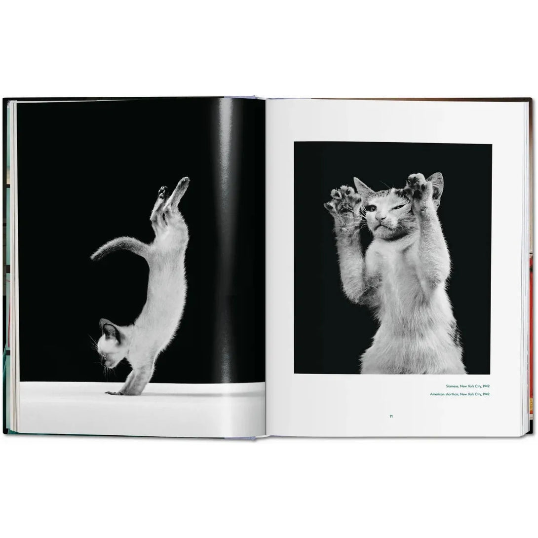 Walter Chandoha. Cats. Photographs 1942-2018 - The Missing Piece Company