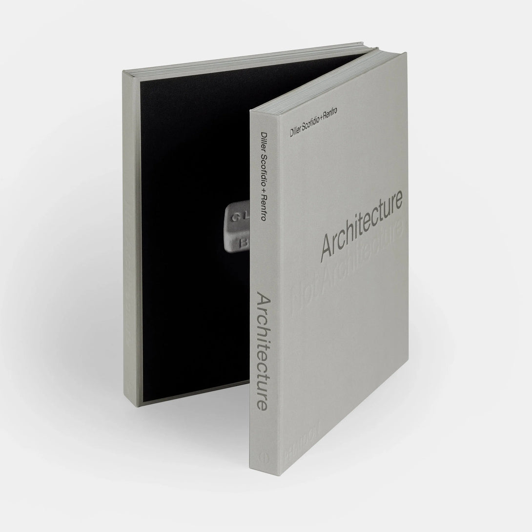 Architecture, Not Architecture: Diller Scofidio + Renfro - The Missing Piece Company