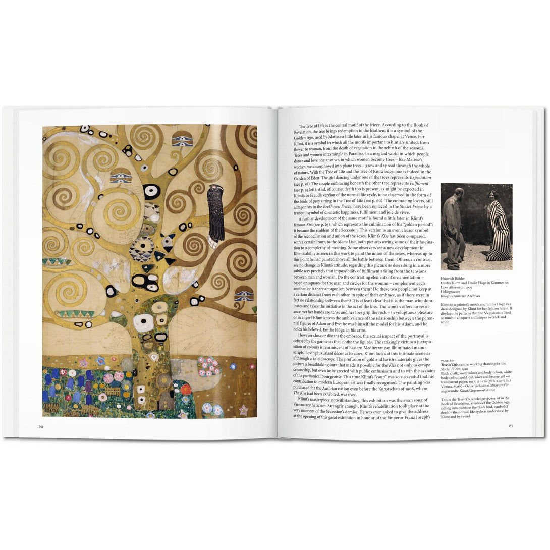 Klimt - The Missing Piece Company
