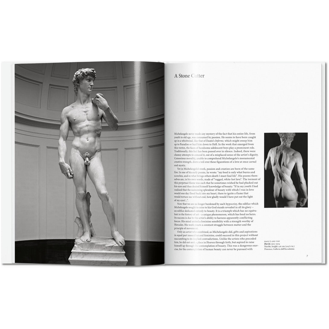 Michelangelo - The Missing Piece Company