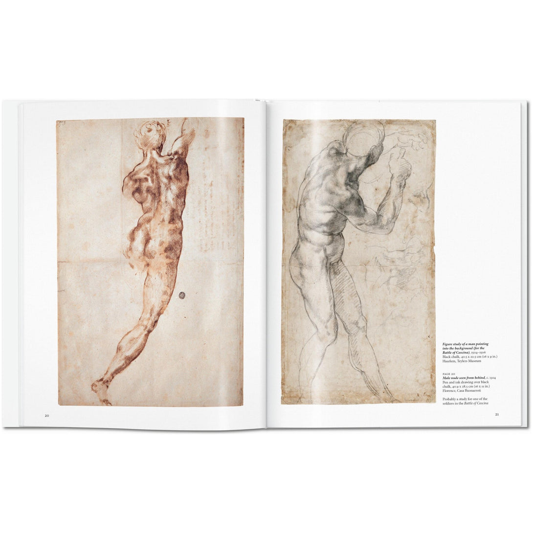 Michelangelo - The Missing Piece Company