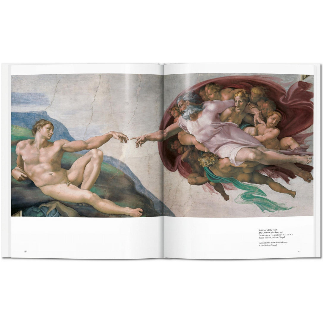Michelangelo - The Missing Piece Company