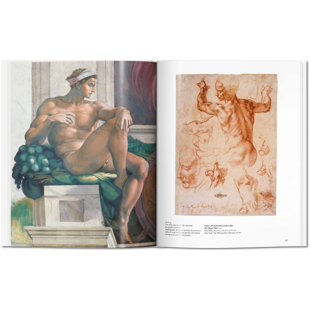 Michelangelo - The Missing Piece Company