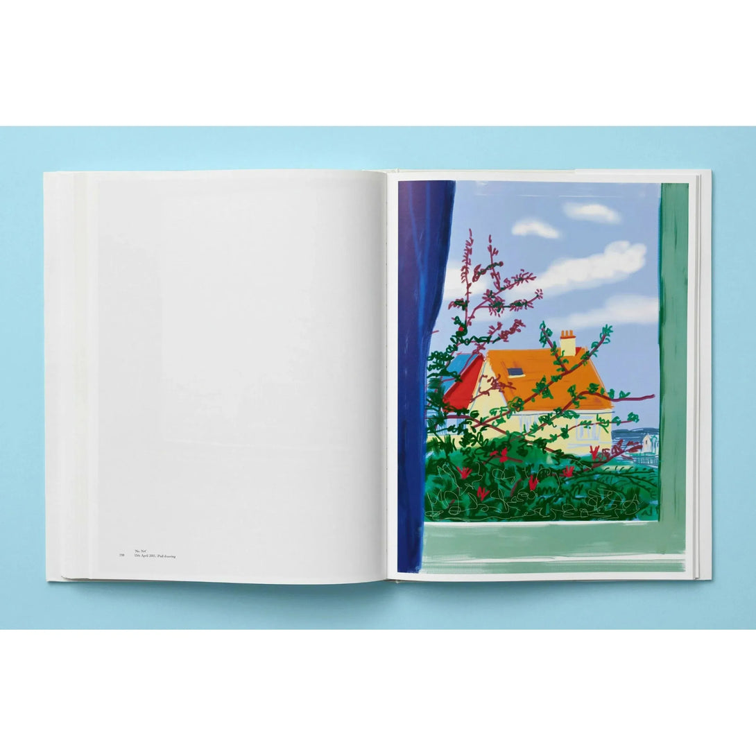 David Hockney. My Window - The Missing Piece Company
