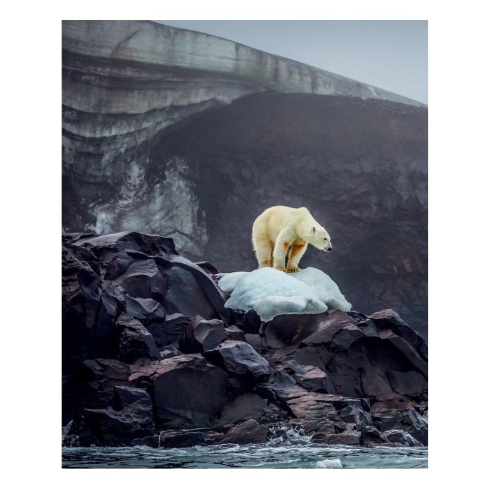 Bi-Polar: Photographs from an Unquiet Mind - The Missing Piece Company