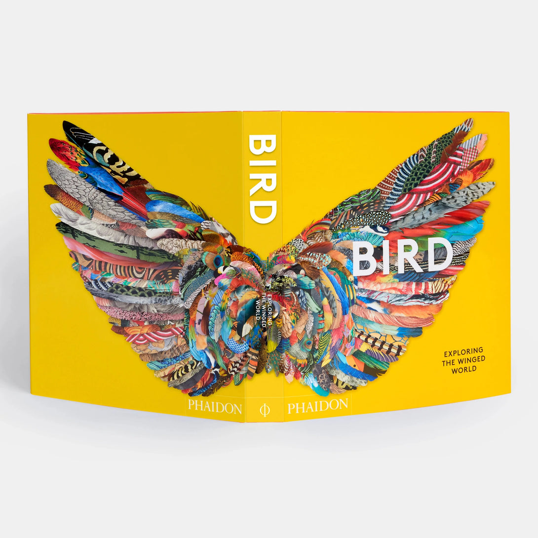Bird: Exploring the Winged World - The Missing Piece Company