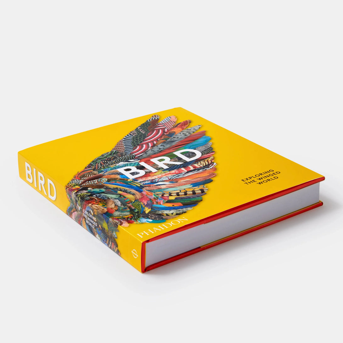 Bird: Exploring the Winged World - The Missing Piece Company