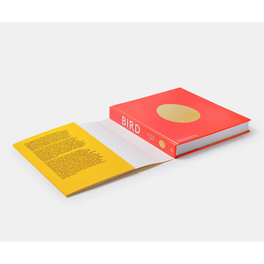 Bird: Exploring the Winged World - The Missing Piece Company