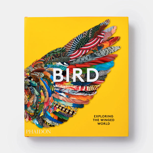 Bird: Exploring the Winged World - The Missing Piece Company