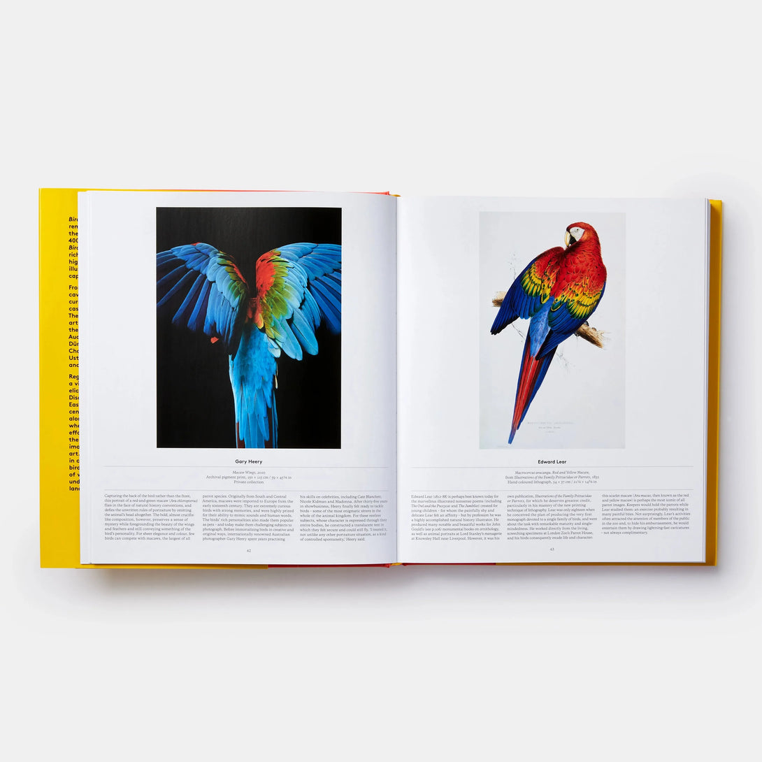 Bird: Exploring the Winged World - The Missing Piece Company