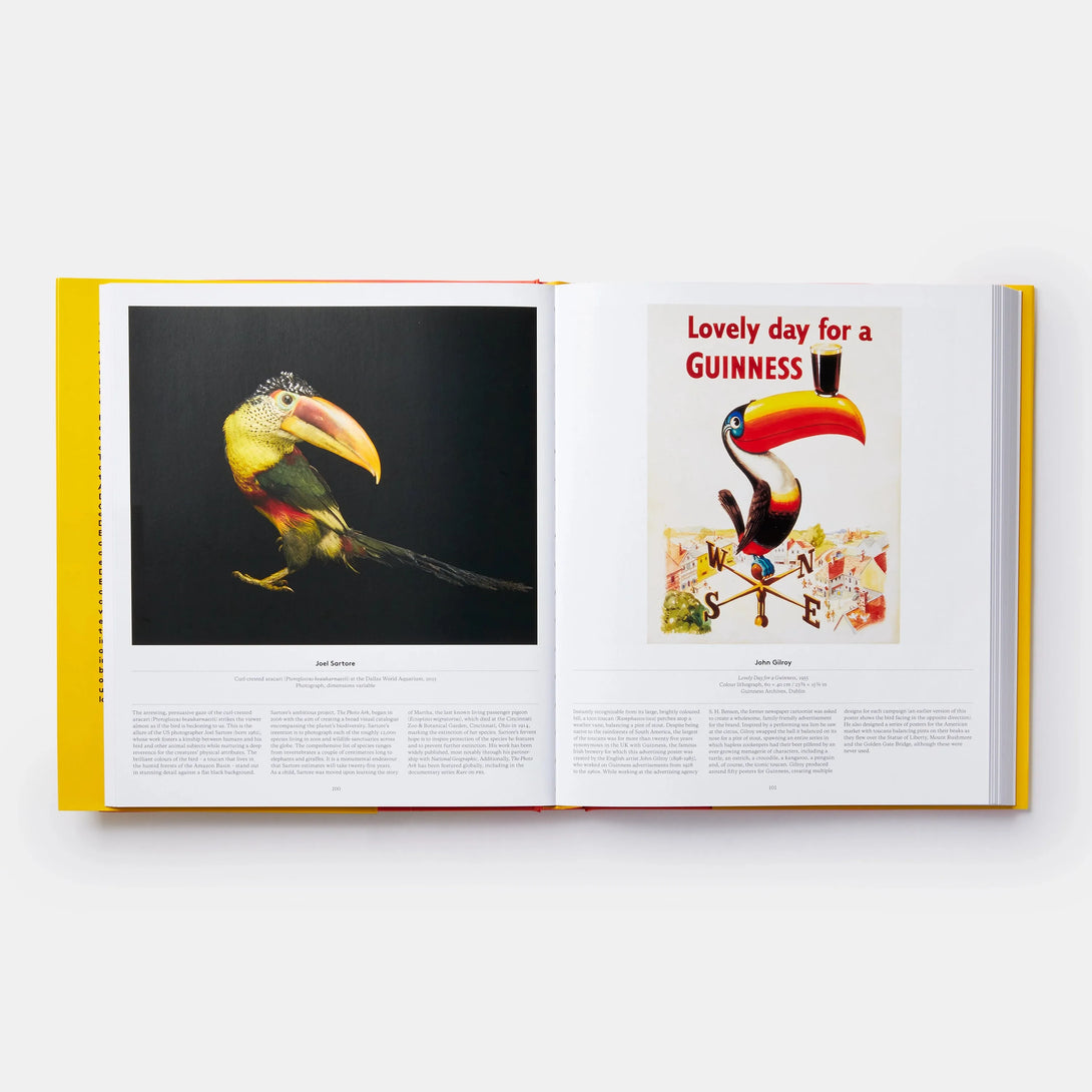 Bird: Exploring the Winged World - The Missing Piece Company