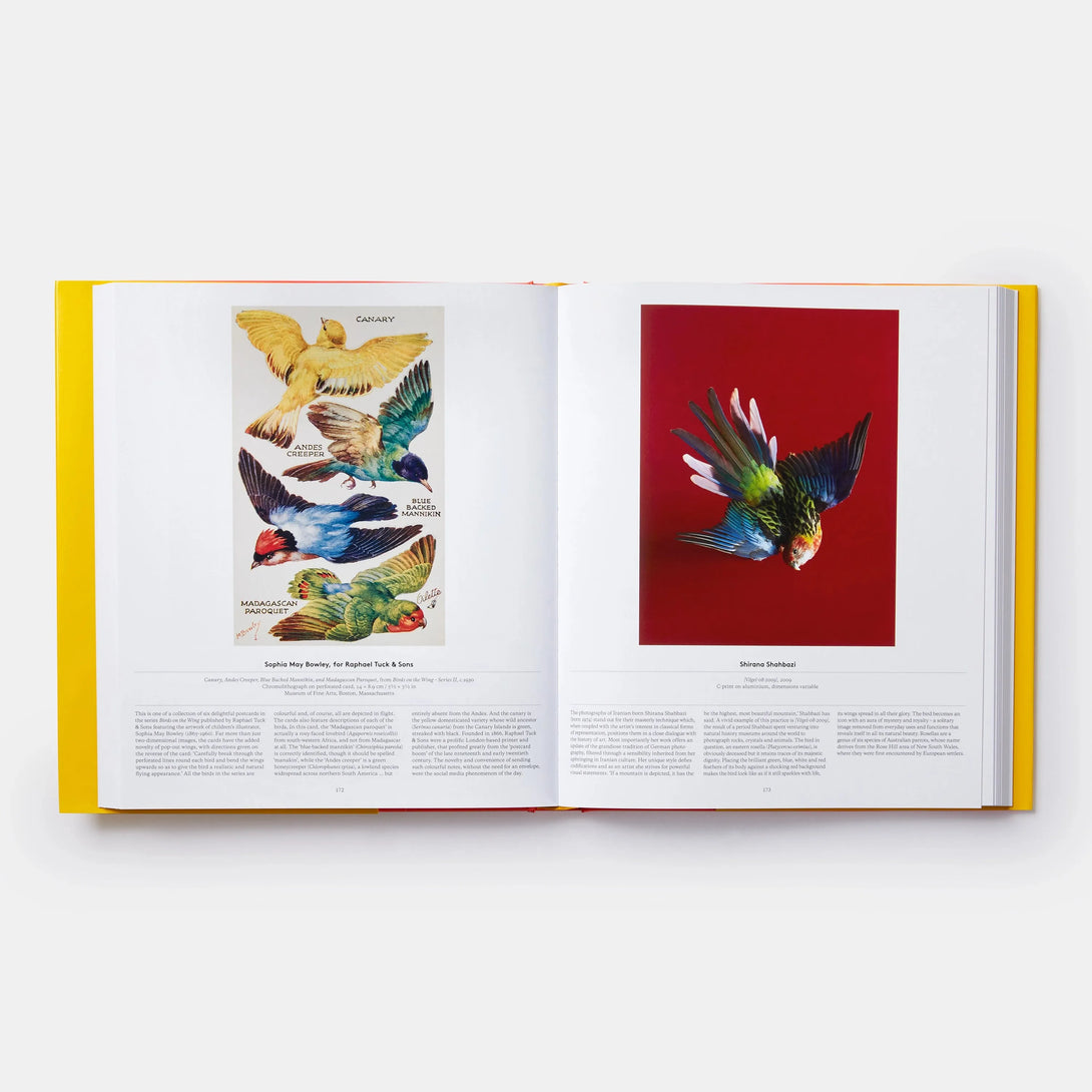 Bird: Exploring the Winged World - The Missing Piece Company