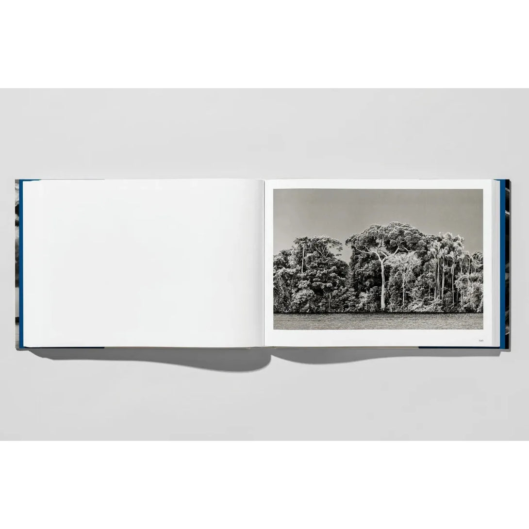 Sebastião Salgado. Amazônia - The Missing Piece Company