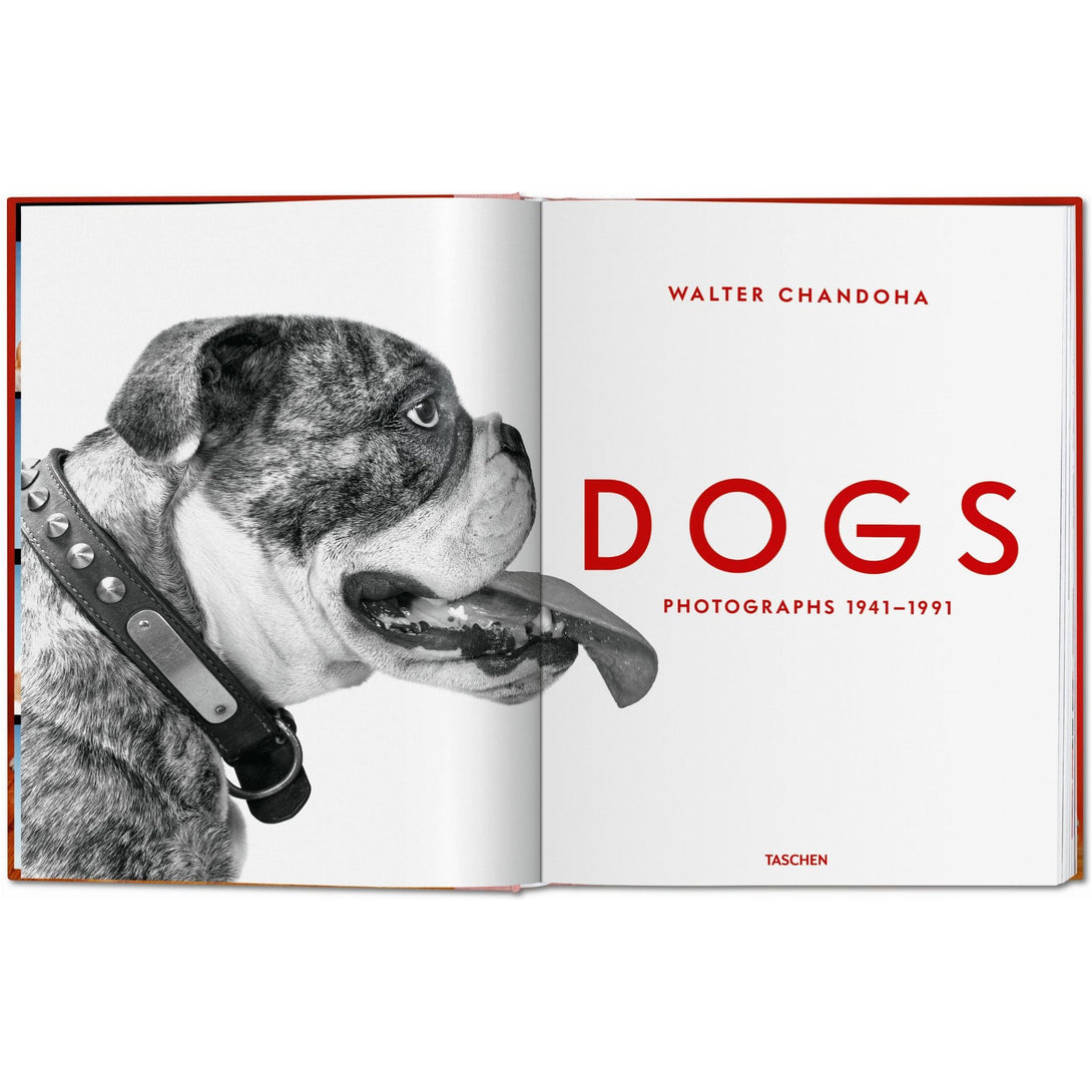 Walter Chandoha. Dogs. Photographs 1941-1991 - The Missing Piece Company