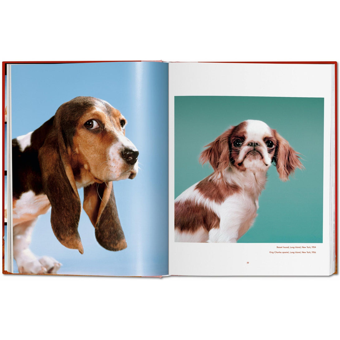 Walter Chandoha. Dogs. Photographs 1941-1991 - The Missing Piece Company