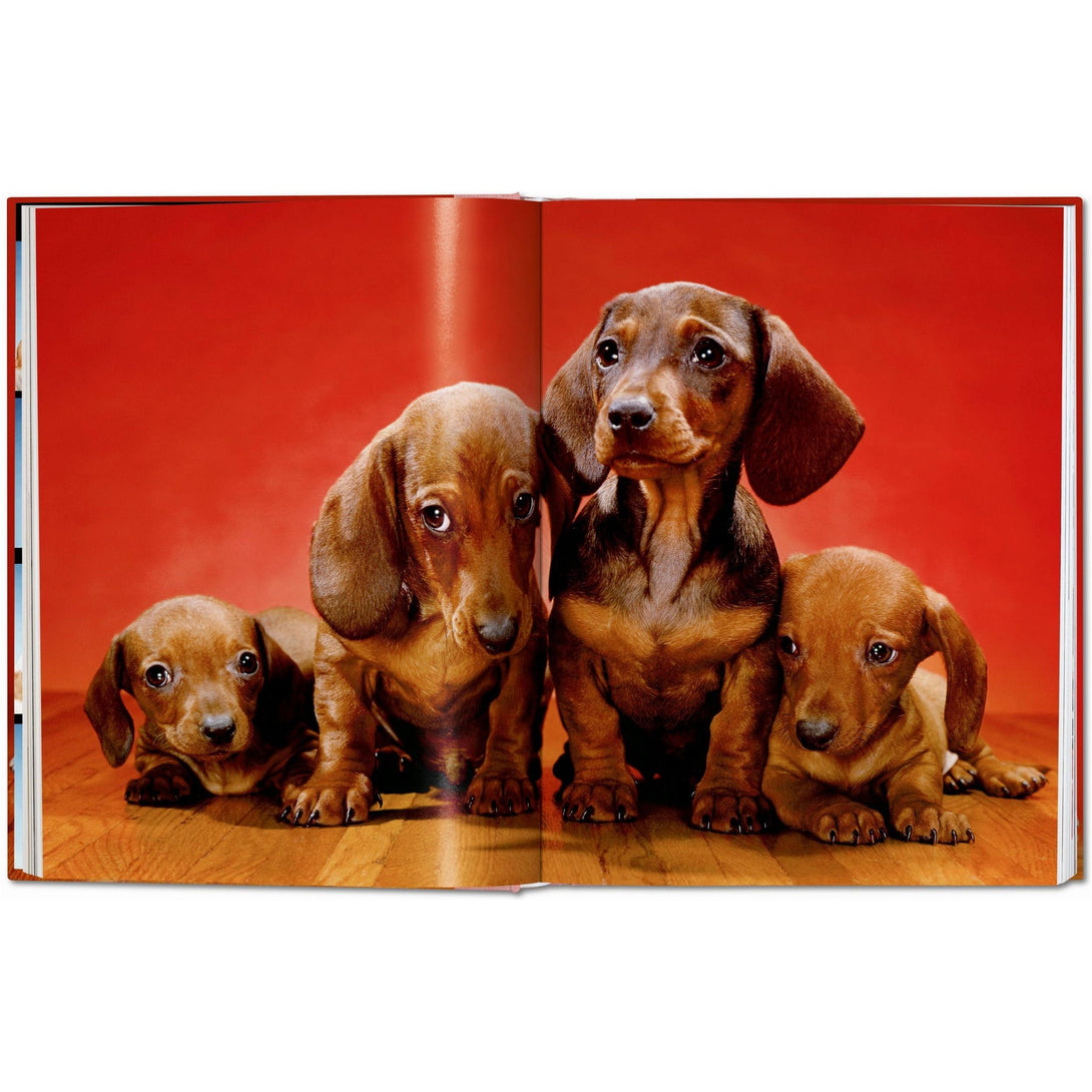 Walter Chandoha. Dogs. Photographs 1941-1991 - The Missing Piece Company