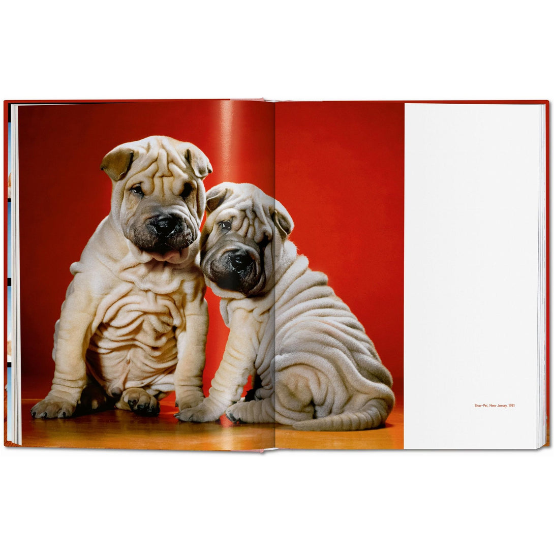 Walter Chandoha. Dogs. Photographs 1941-1991 - The Missing Piece Company