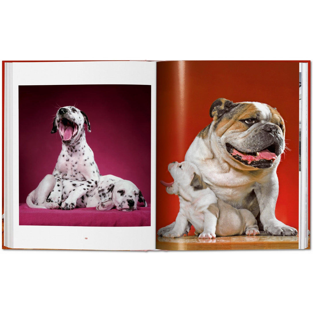 Walter Chandoha. Dogs. Photographs 1941-1991 - The Missing Piece Company
