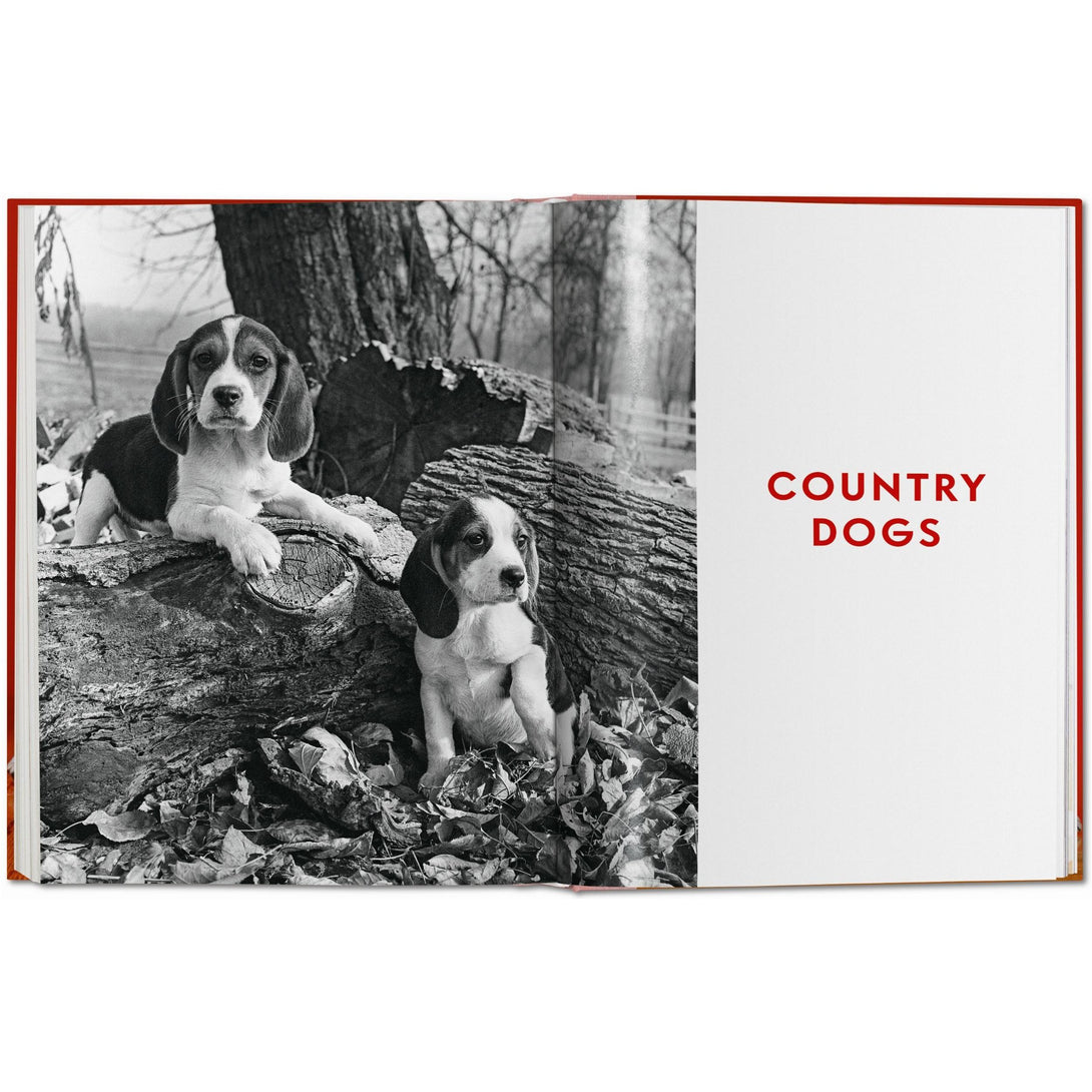 Walter Chandoha. Dogs. Photographs 1941-1991 - The Missing Piece Company
