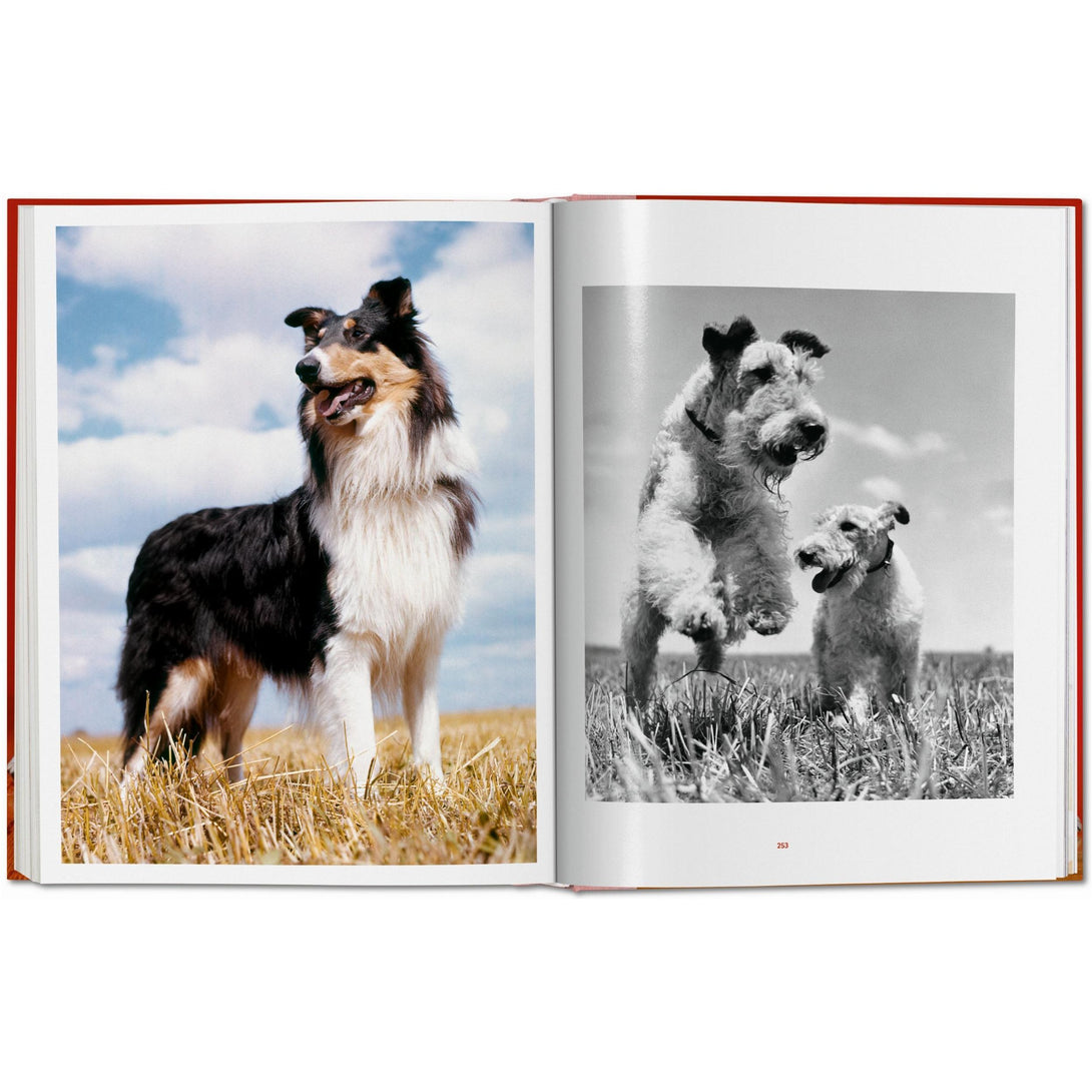 Walter Chandoha. Dogs. Photographs 1941-1991 - The Missing Piece Company