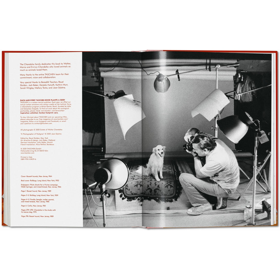 Walter Chandoha. Dogs. Photographs 1941-1991 - The Missing Piece Company