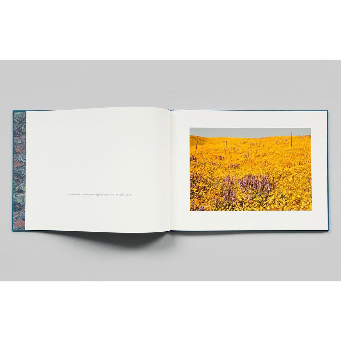William Eggleston: Morals of Vision - The Missing Piece Company
