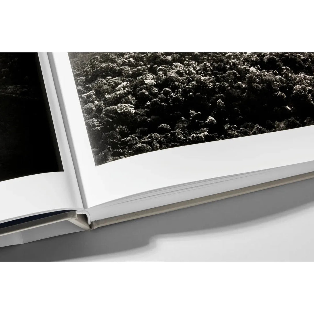 Sebastião Salgado. Amazônia - The Missing Piece Company