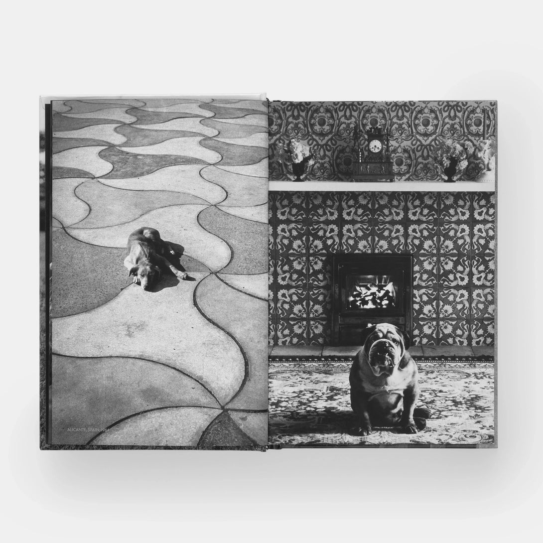 Dogdogs - The Missing Piece Company