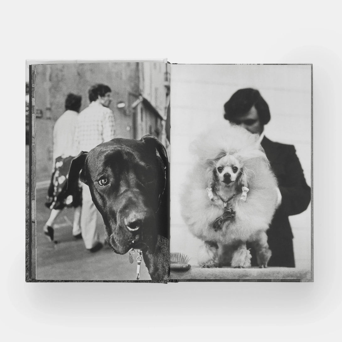 Dogdogs - The Missing Piece Company