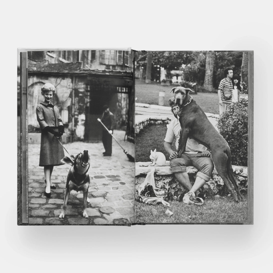 Dogdogs - The Missing Piece Company