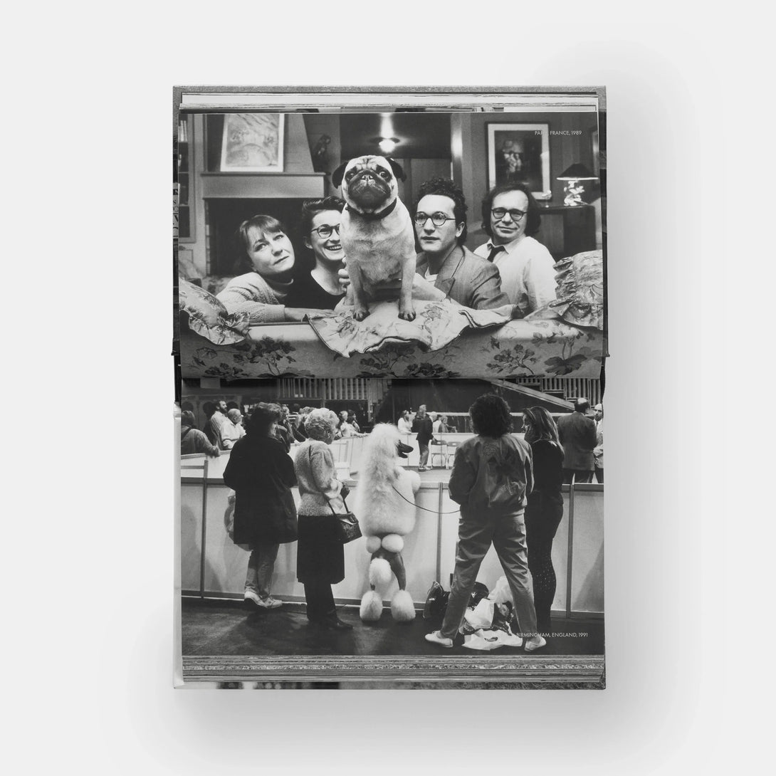Dogdogs - The Missing Piece Company