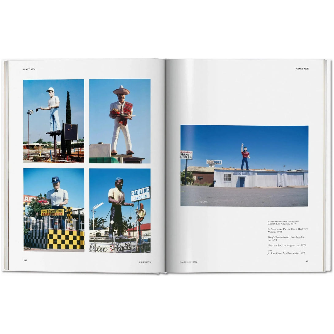 California Crazy. American Pop Architecture - The Missing Piece Company