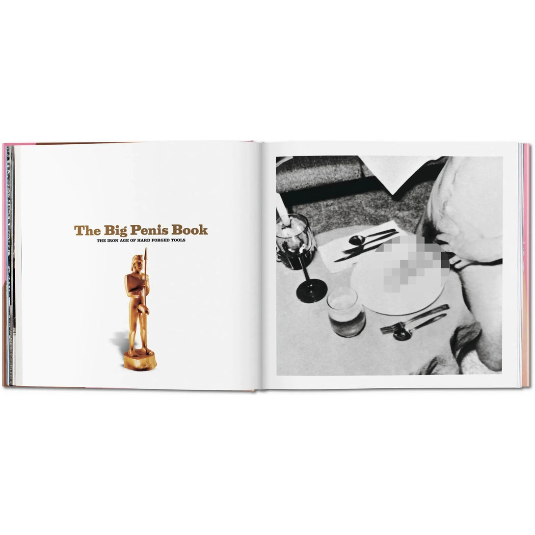 Big Penis Book - The Missing Piece Company