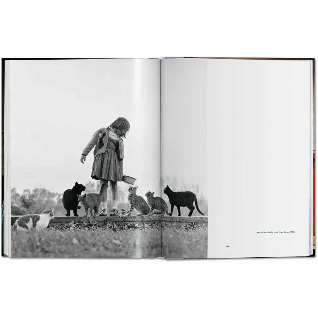 Walter Chandoha. Cats. Photographs 1942-2018 - The Missing Piece Company