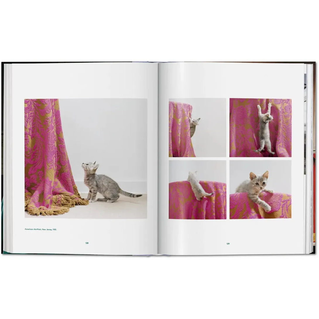 Walter Chandoha. Cats. Photographs 1942-2018 - The Missing Piece Company