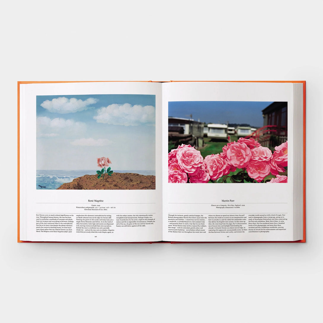 Flower: Exploring the World in Bloom - The Missing Piece Company
