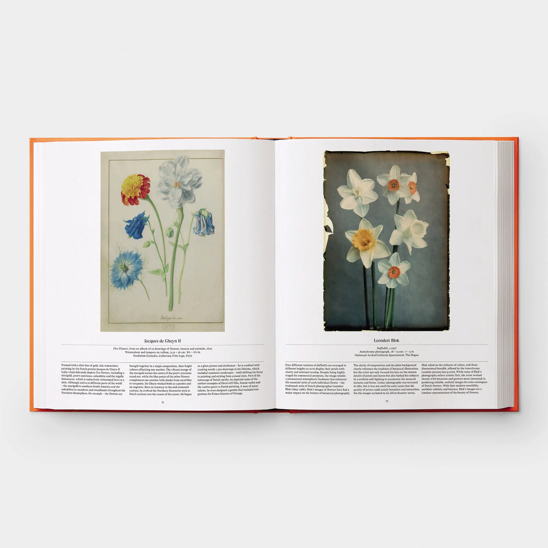 Flower: Exploring the World in Bloom - The Missing Piece Company