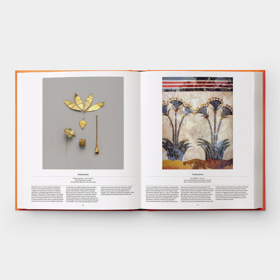 Flower: Exploring the World in Bloom - The Missing Piece Company