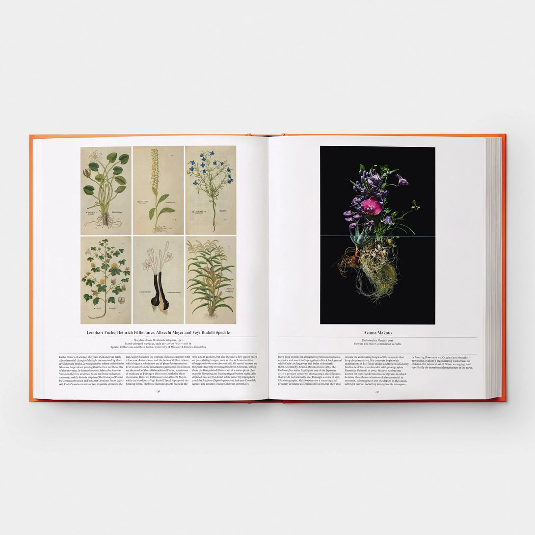 Flower: Exploring the World in Bloom - The Missing Piece Company