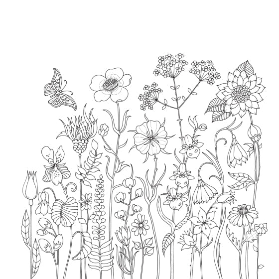 World of Flowers: A Coloring Book and Floral Adventure - The Missing Piece Company