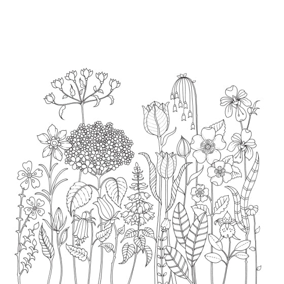 World of Flowers: A Coloring Book and Floral Adventure - The Missing Piece Company