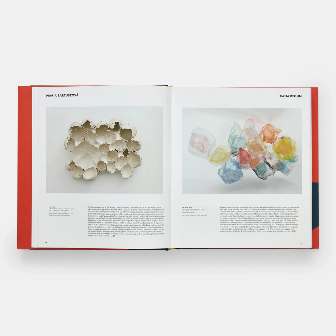 Great Women Sculptors - The Missing Piece Company