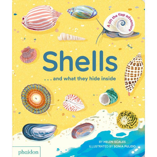 Shells... and What They Hide Inside: A Lift-The-Flap Adventure - Ingram