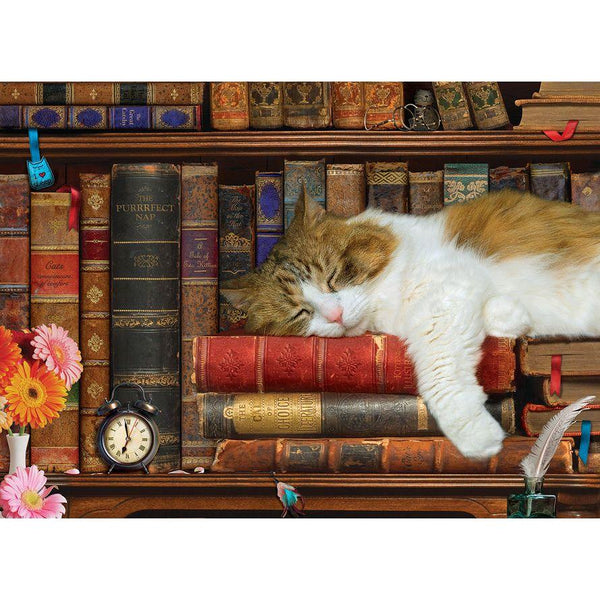 Cat Nap