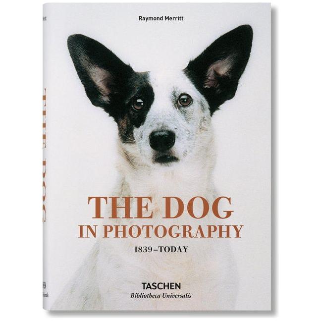 Dog in Photography 1839-Today