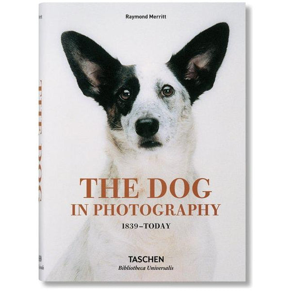 Dog in Photography 1839-Today